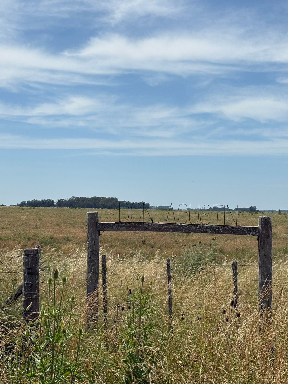 Campo de 419has en Alvarez Jonte